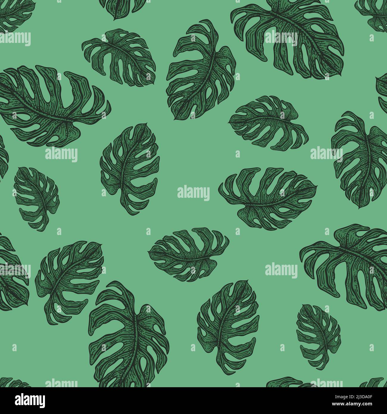 Monstera Blatt nahtloses Muster.Vintage tropischen Zweig in Gravur-Stil. Handgezeichnetes Texturbelaub für Stoff, Tapete, Textil, Druck, Verpackung Stock Vektor