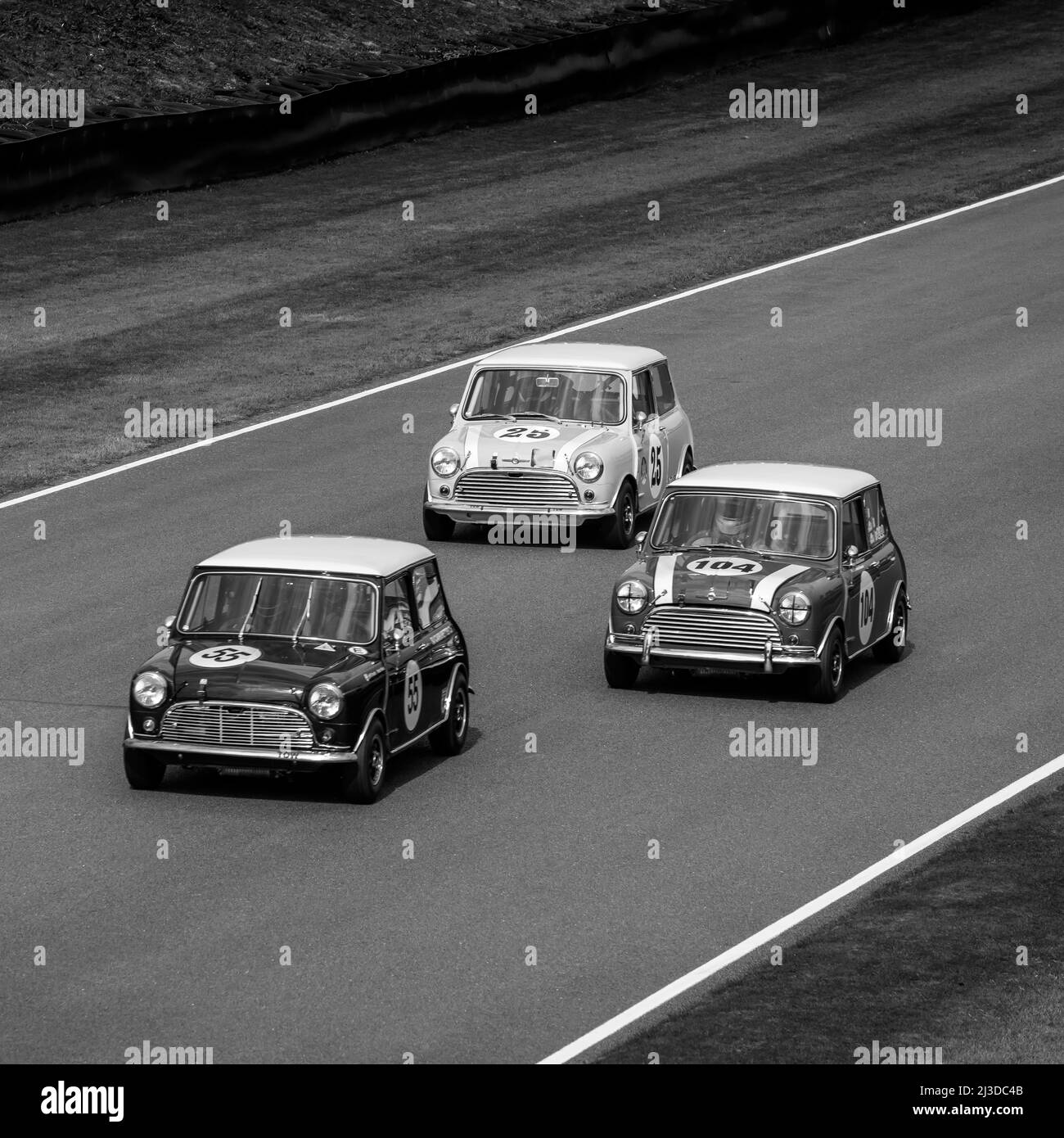 Schwarz-Weiß-Rennen in Goodwood, Sussex, Großbritannien Stockfoto