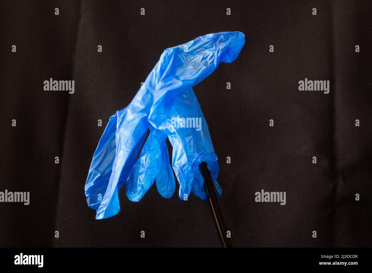 Blauer Einweghandschuh mit Licht von der Seite isoliert auf Schwarzer Hintergrund Stockfoto