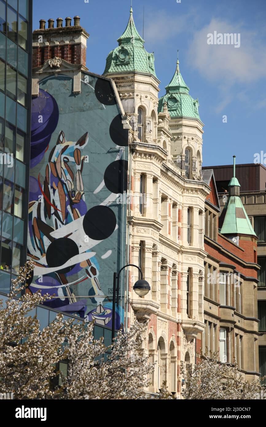 Pferdemalbild in der High Street in Belfast Stockfoto
