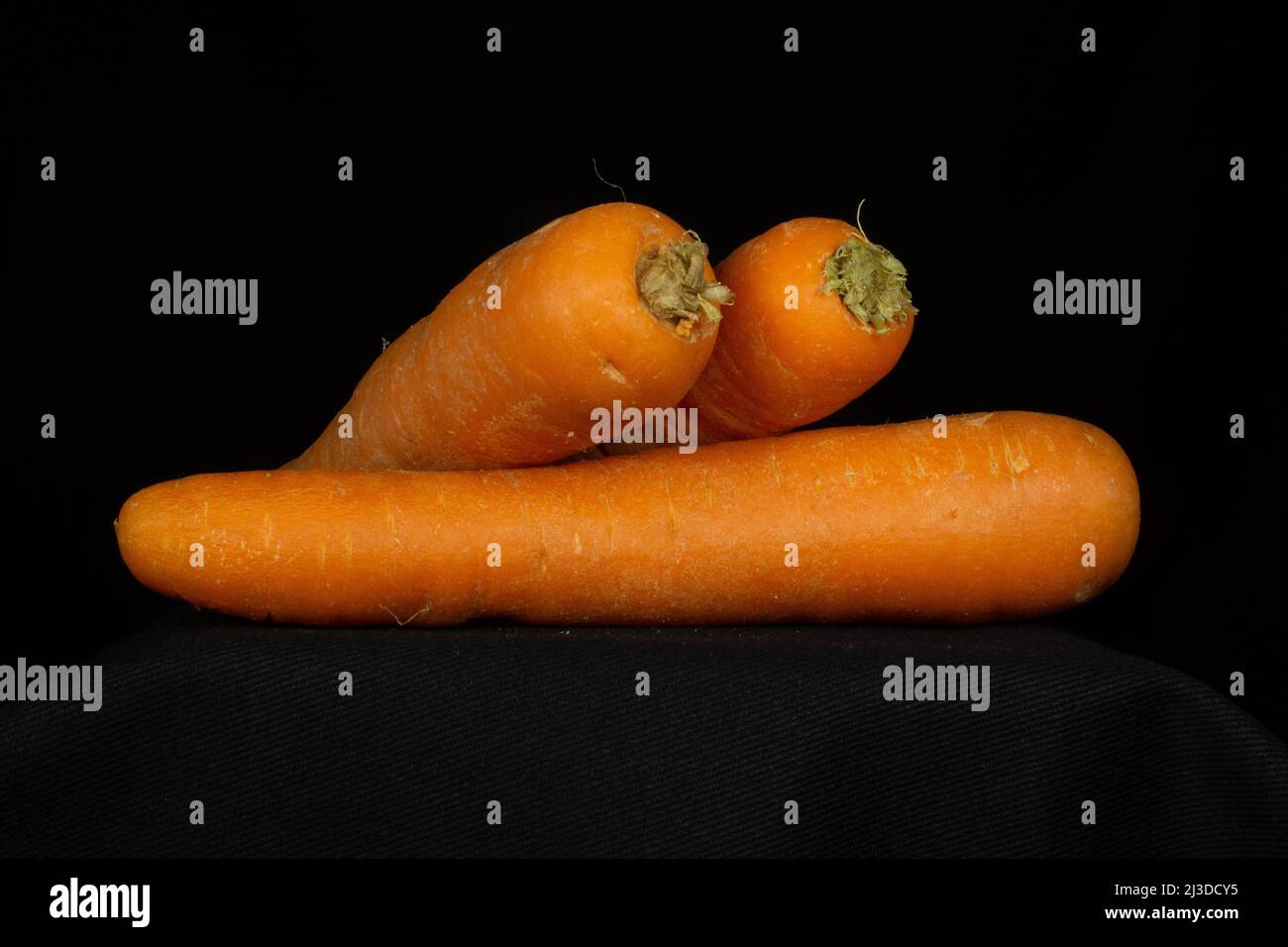 Drei orangefarbene Karotten isoliert auf schwarzem Hintergrund Stockfoto