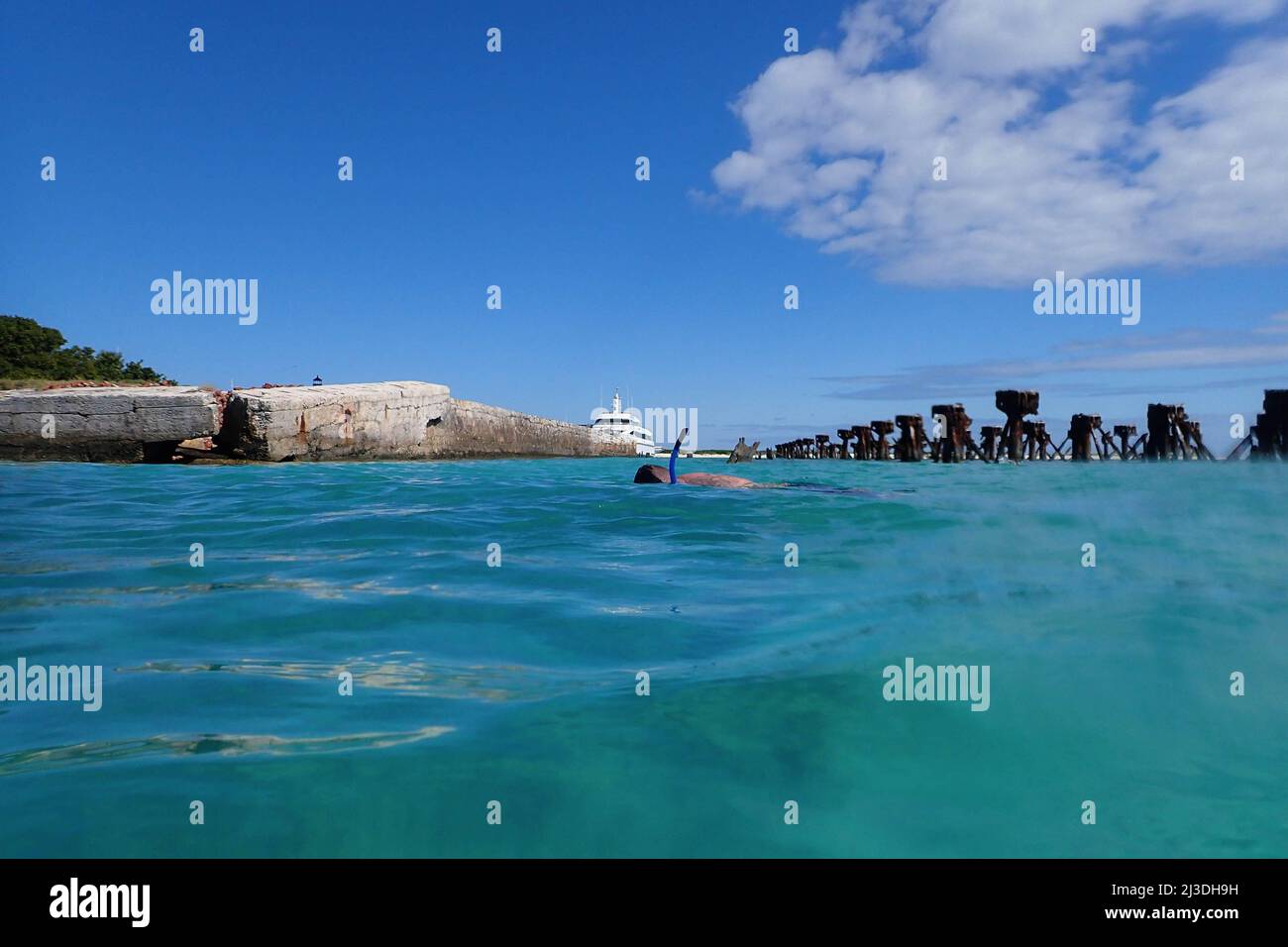 Mann schnorchelt im Dry Tortugas National Park, Florida, USA Stockfoto