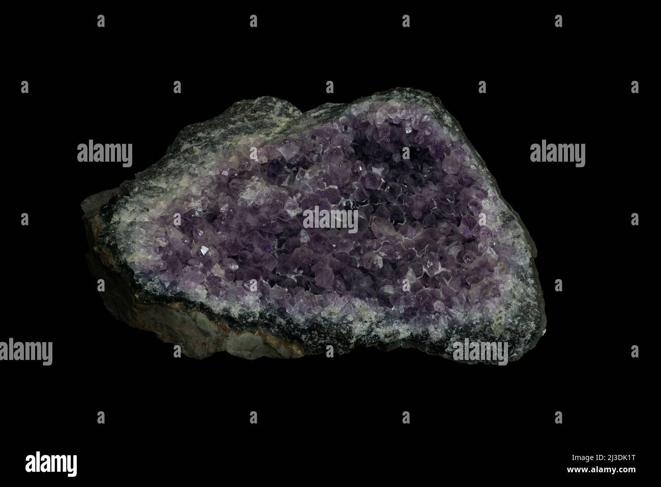 Druse von Amethyst Mineral, einem violetten Quarzstein auf schwarzem Hintergrund. Stockfoto