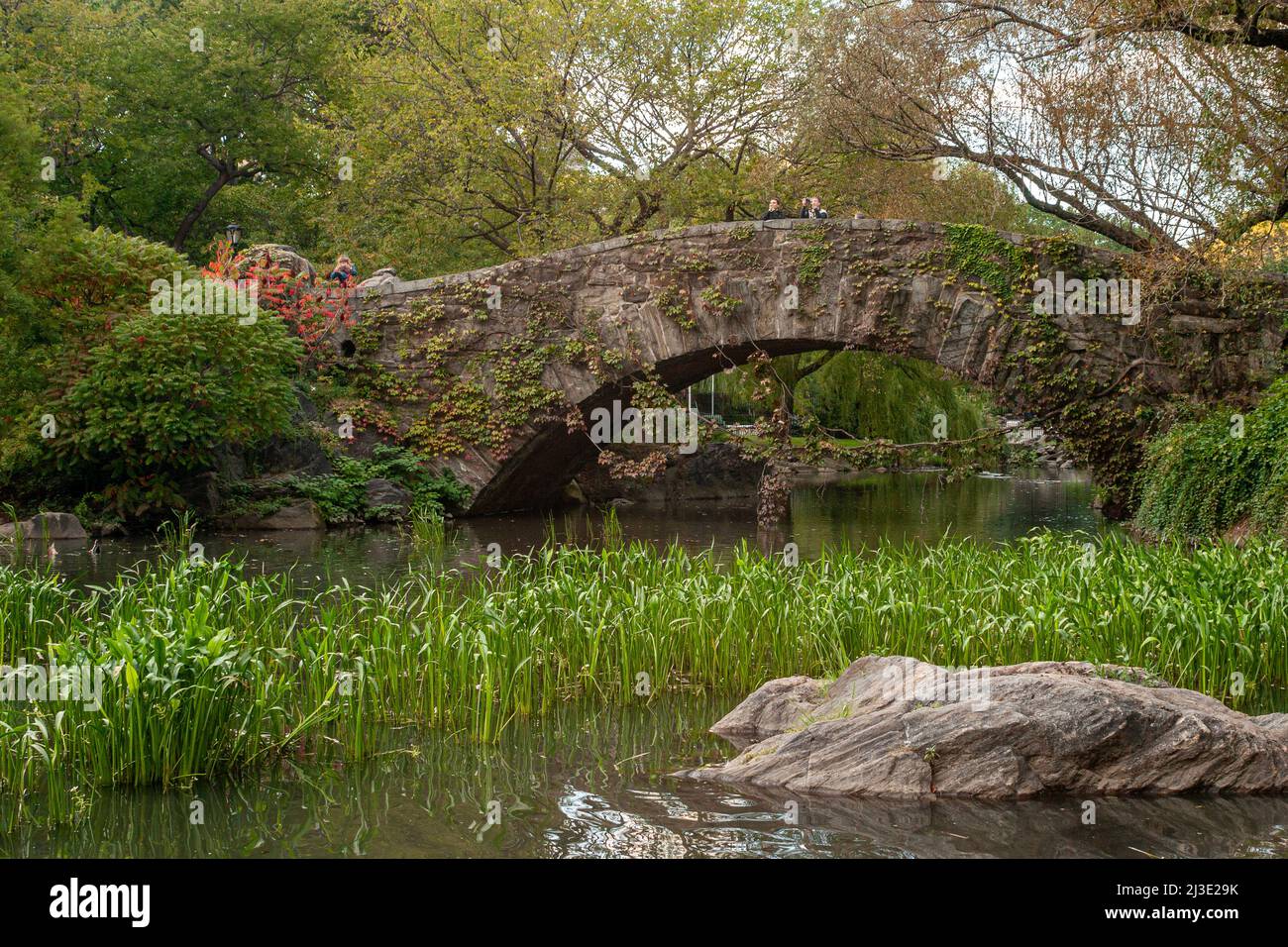 Central Park in New York City Stockfoto