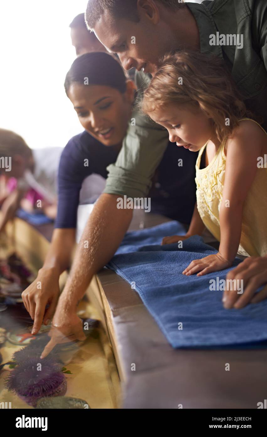 Neugierig, wie sie sich fühlen. Eine Aufnahme einer Familie auf einem Ausflug ins Aquarium. Stockfoto