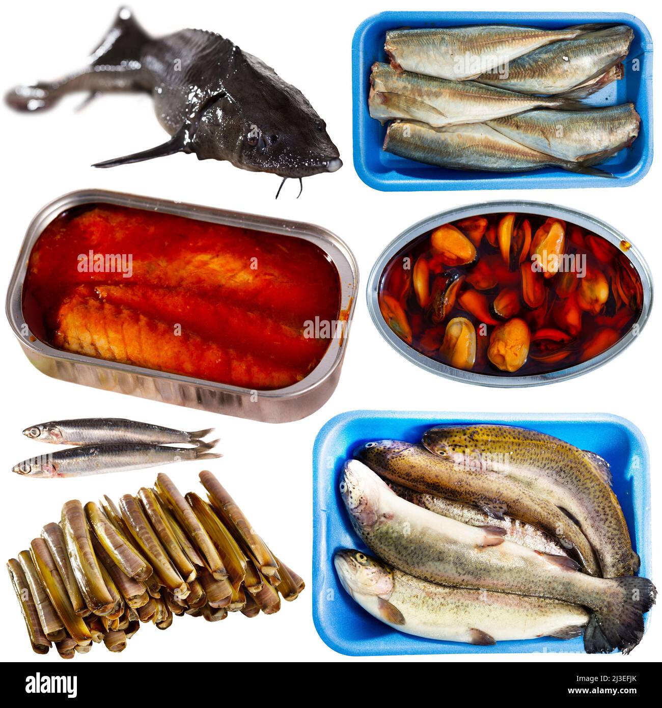 Sammlung von rohem Fisch und halbfertigen Meeresfrüchten Stockfoto