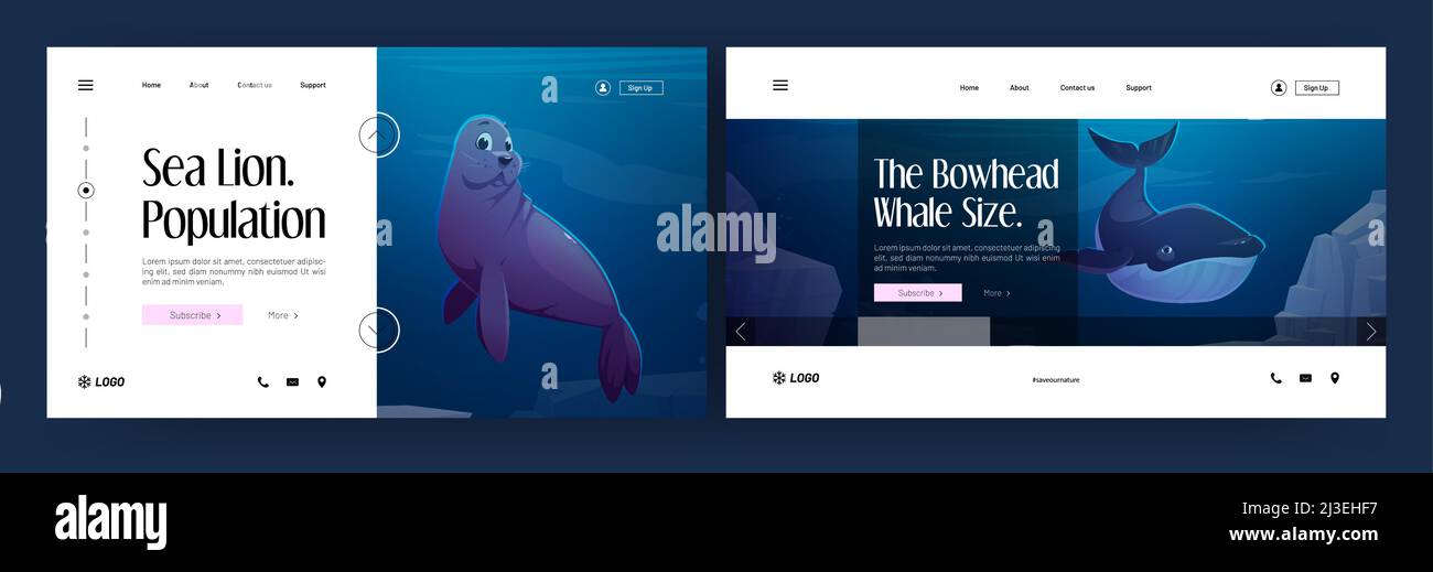 Banner für Meerestiere. Seelöwenpopulation und Landepages in der Größe von Bowhead-Walen. Vektor-Website von Meeressäugern mit Cartoon-Illustration von Robben und Stock Vektor