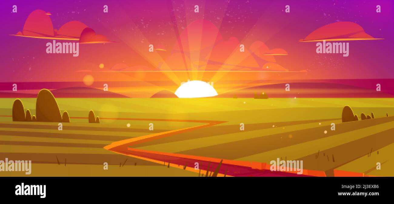 Ländliche Landschaft mit landwirtschaftlichen Feldern bei Sonnenuntergang. Vektor-Cartoon-Illustration von Land, Ackerland mit grünem Gras, Bäumen, Straße und Sonne auf horiz Stock Vektor