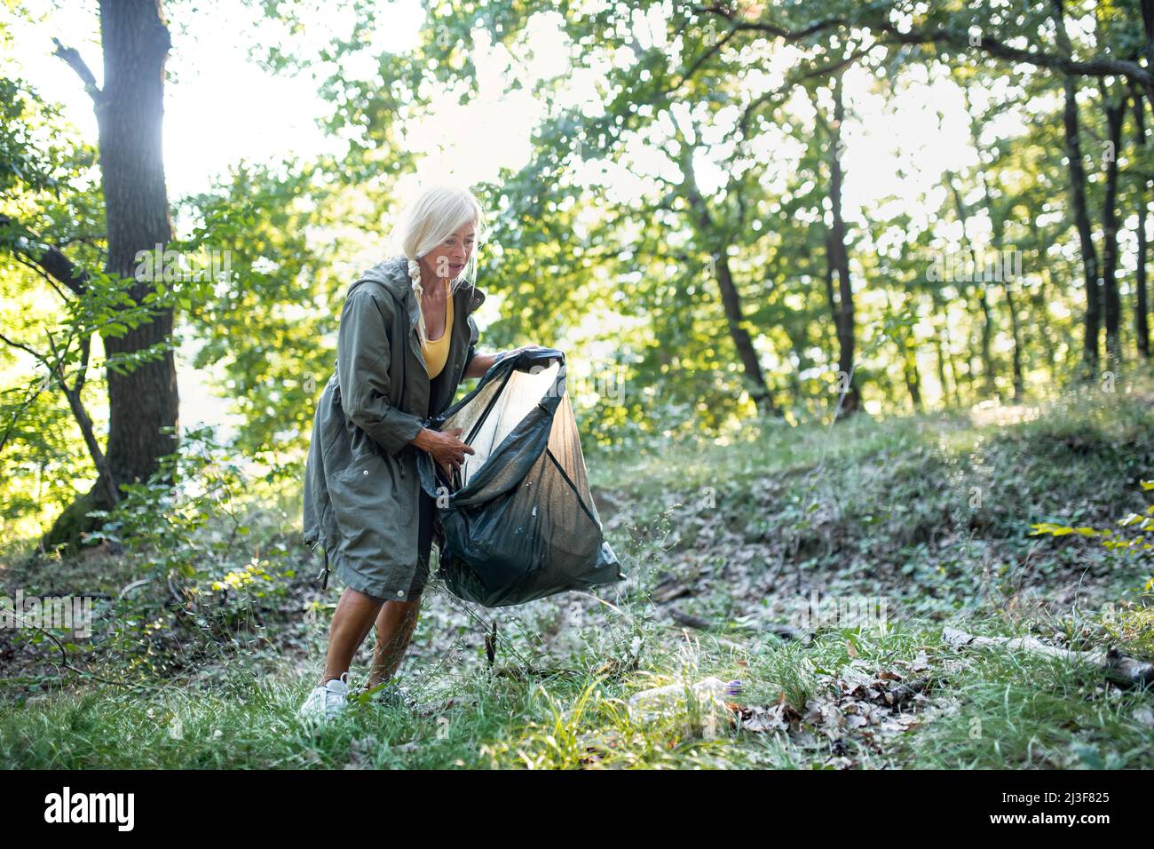 Ältere Ökologin mit Müllbeutel, die im Wald Abfälle aufsammeln. Stockfoto
