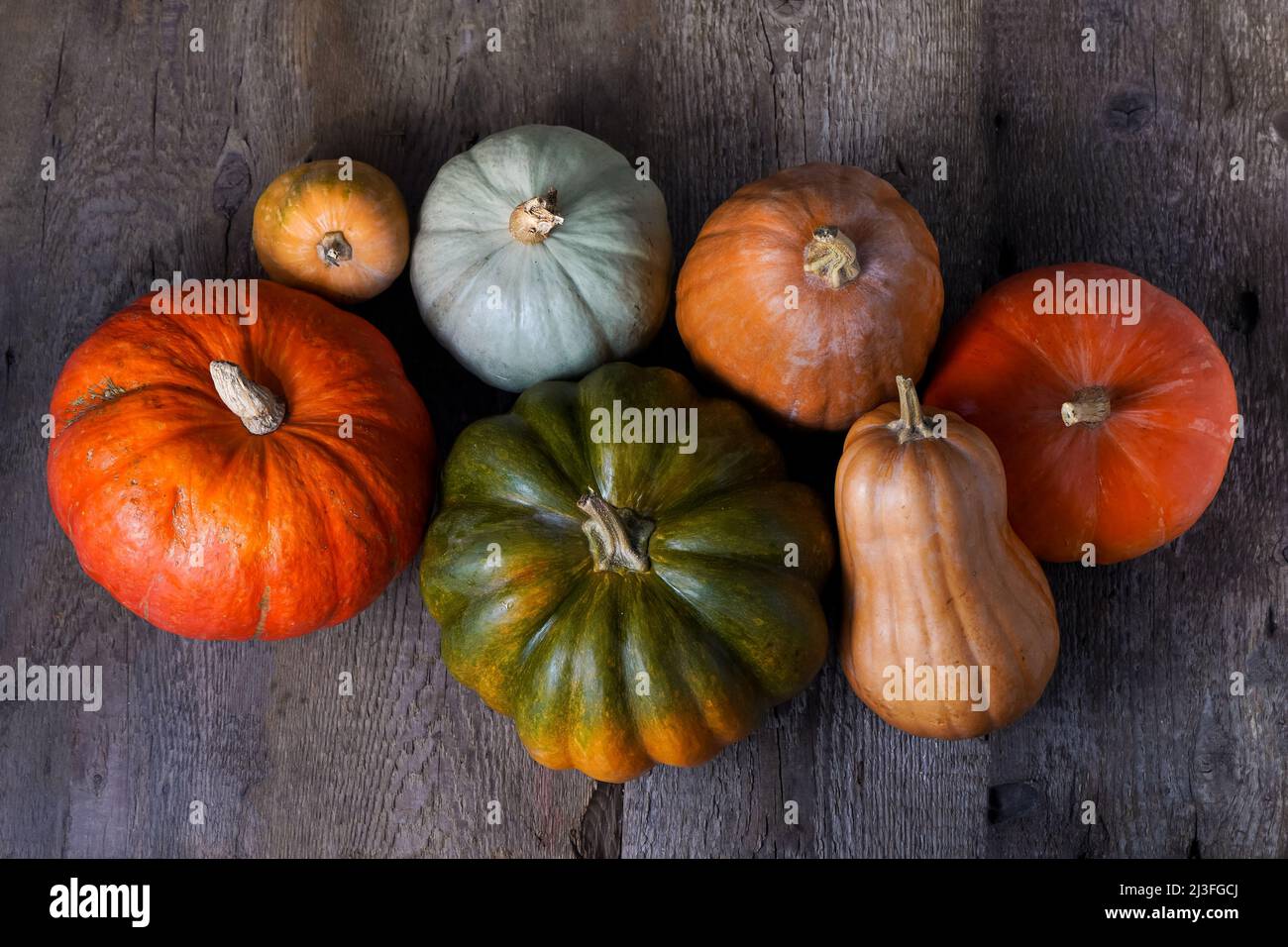 Set aus verschiedenen Kürbissen auf altem Holzhintergrund. Verschiedene Sorten. Orangefarbener, grüner und grauer Kürbis. Herbsternte. Halloween und Thanksgiving Essen. Stockfoto