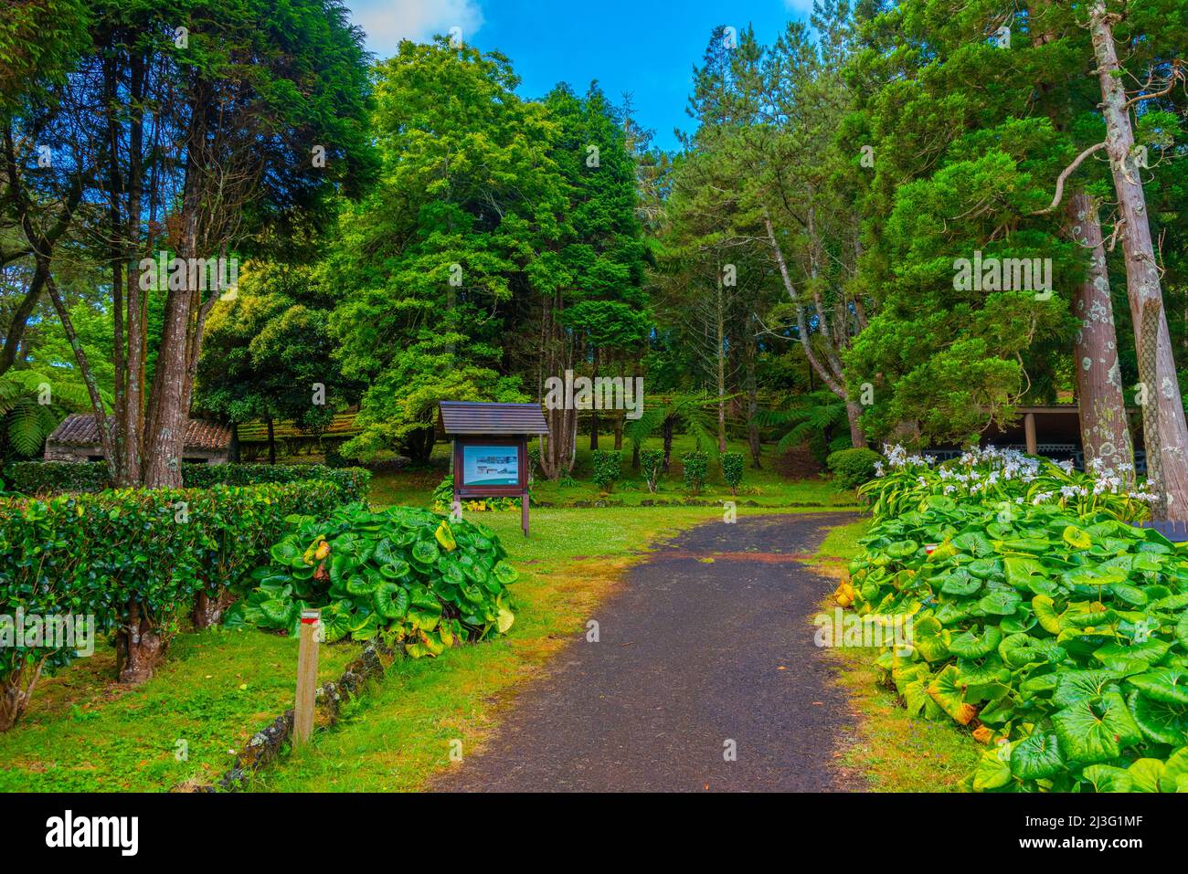 Sete Fontes forrestal Park auf der Insel Sao Jorge in Portugal. Stockfoto