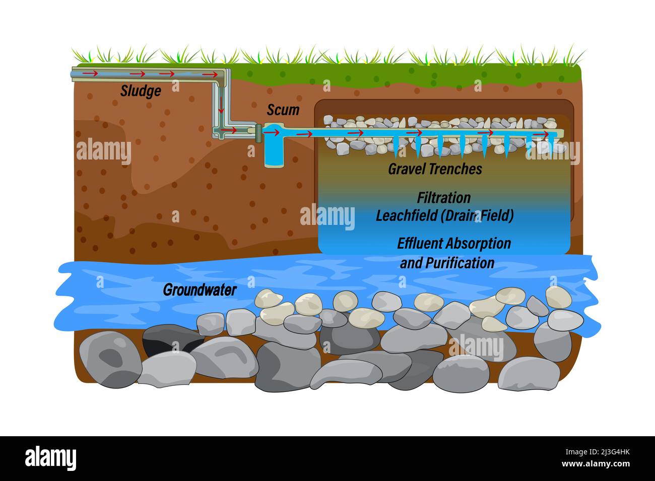 Drainfield-Diagramm. Absorptions- und Reinigungsverfahren für Abwässer. Abwasser unterirdisches Laugungsfeld. Abwasserbehandlungssystem.Abbildung des Vektorgrafikes Stock Vektor