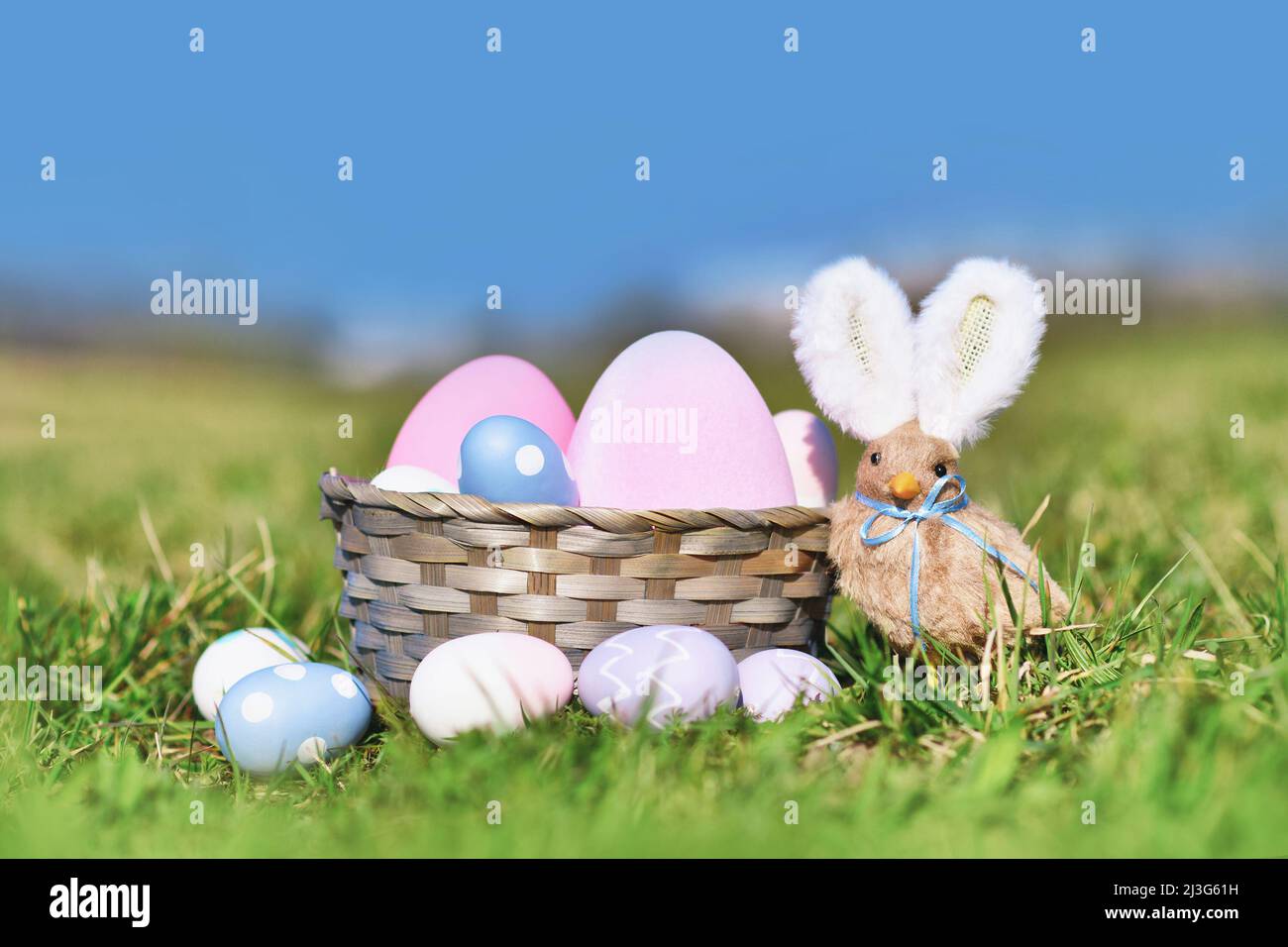 Osterkorb mit bemalten Eiern und Küken mit Kaninchenohren auf der Wiese Stockfoto