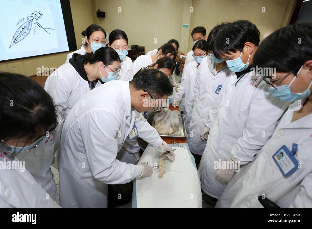 SHAOXING, CHINA - 7. APRIL 2022 - der Chefarchirurg des Krankenhauses verwendet Schweineingeweide als Unterrichtsmaterial, um Studenten die Praxis der Chirurgie beizubringen Stockfoto