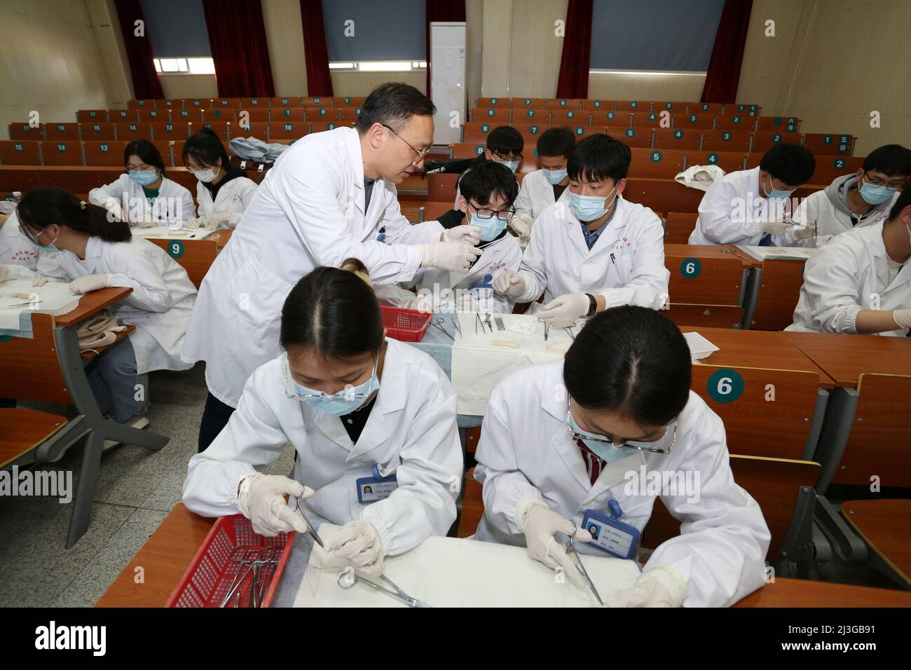 SHAOXING, CHINA - 7. APRIL 2022 - der Chefarchirurg des Krankenhauses verwendet Schweineingeweide als Unterrichtsmaterial, um Studenten die Praxis der Chirurgie beizubringen Stockfoto