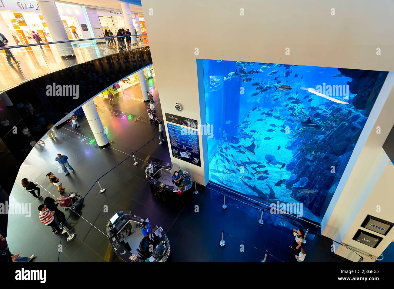 Dubai. VAE. Aquarium und Unterwasserzoo Stockfoto