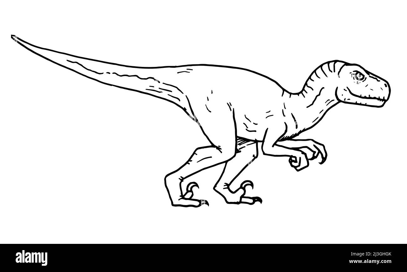 Atrociraptor Dinosaurier Vektor Stock Illustration. Stock Vektor