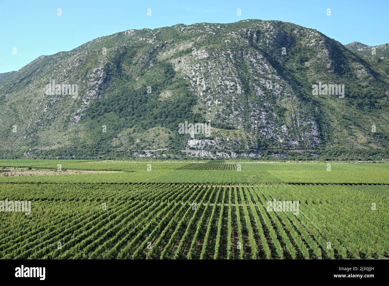 Weinberg und Berg in Bosnien und Herzegowina Stockfoto