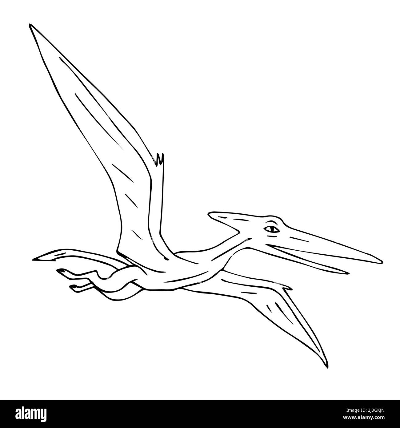 Vektor schwarz Hand gezeichnet skizzieren fliegenden Pterodactyl Dinosaurier auf weißem Hintergrund isoliert Stock Vektor