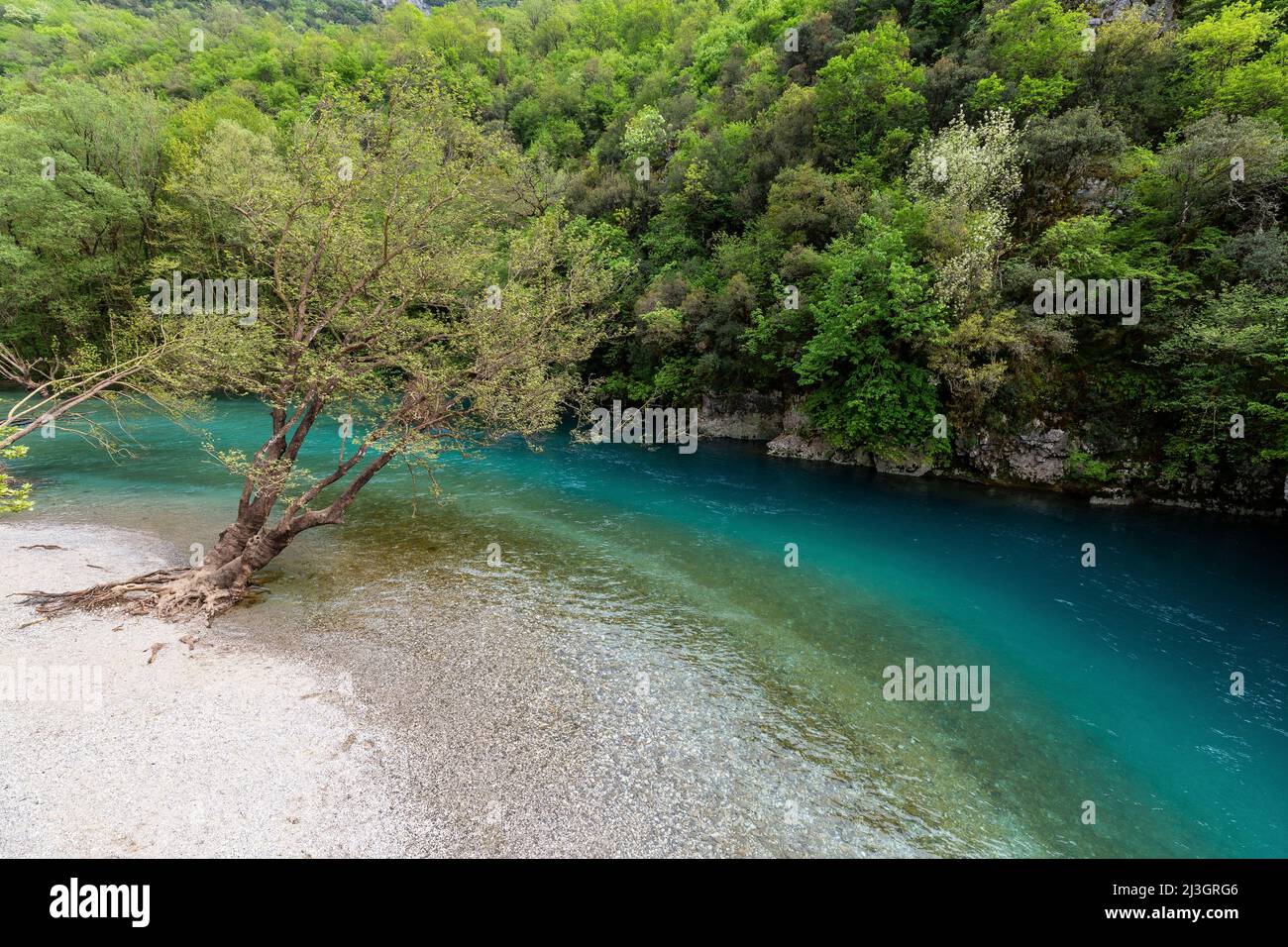 Griechenland, Epirus Region, Zagorohoria Mountains, Vikos Gorge National Park (die tiefsten Schluchten der Welt), die natürlichen Pools von Papingo, von den Einheimischen Kolymbithres oder Ovidres genannt Stockfoto