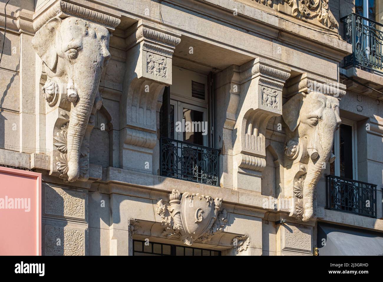 France, Isere, Grenoble, Felix Poulat Street, Elephant Building im Auftrag des Zementherstellers Berthelot und 1903 von den Architekten Chatrousse und Ricoud erbaut Stockfoto