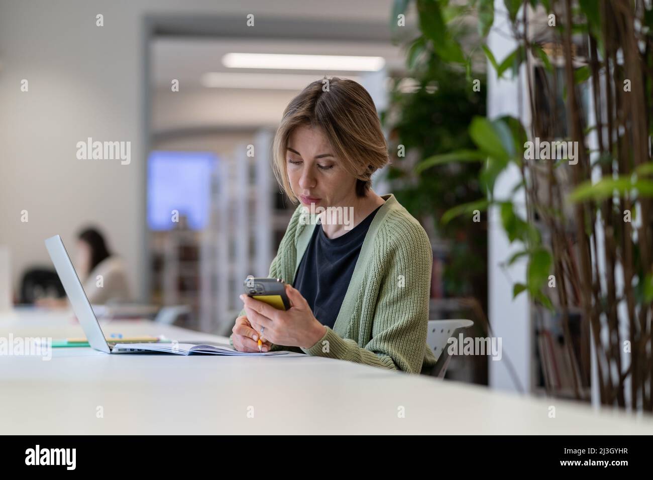 Fokussierte Hochschullehrerin mit Laptop, während sie in einer ruhigen, gemütlichen Bibliothek sitzt Stockfoto