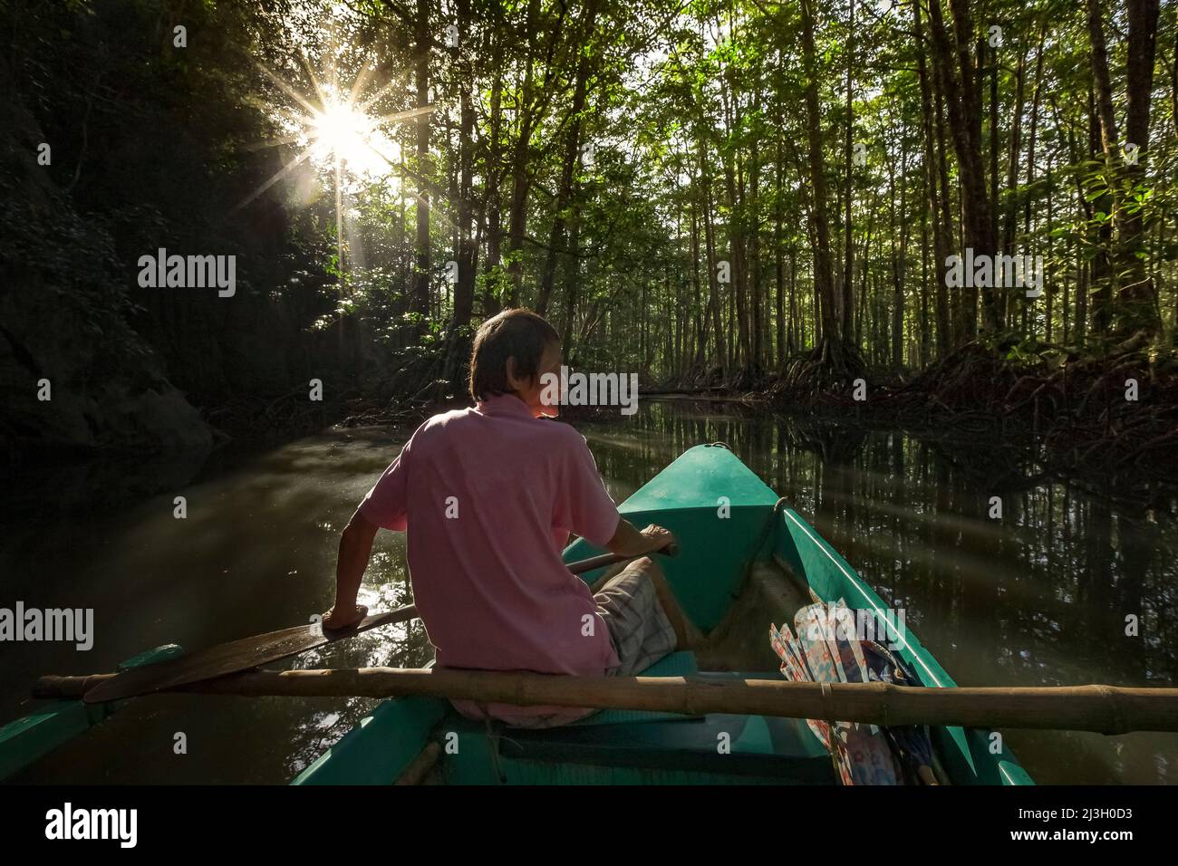 Philippinen, Palawan, Sabang Mangrove Forest, Kanutour auf dem Fluss Poyuy-Poyu Stockfoto