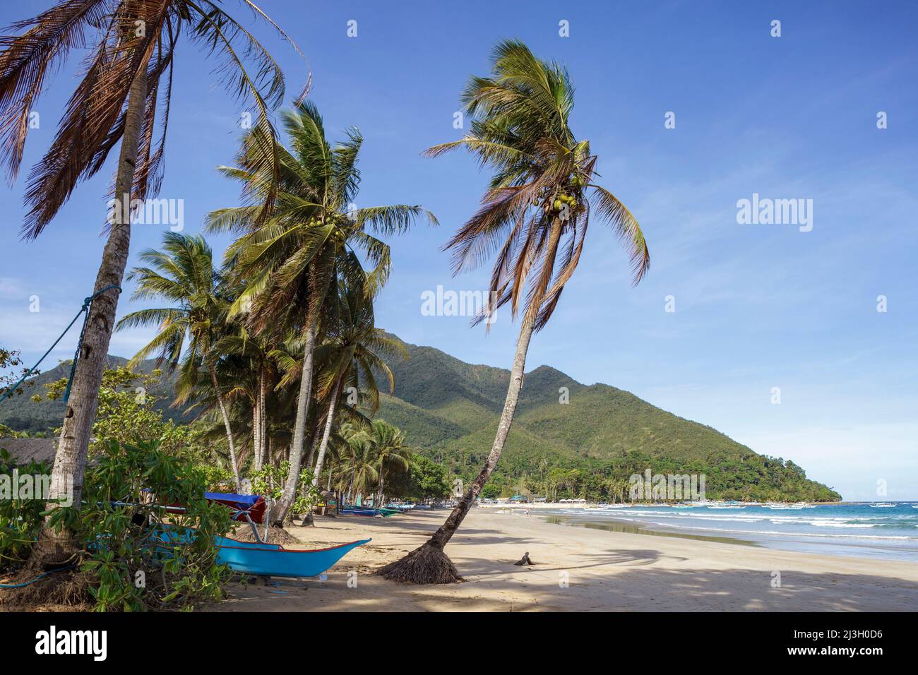 Philippinen, Palawan, Sabang Beach, Angeln Outrigger Kanus, Sandstrand und Kokospalmen Stockfoto
