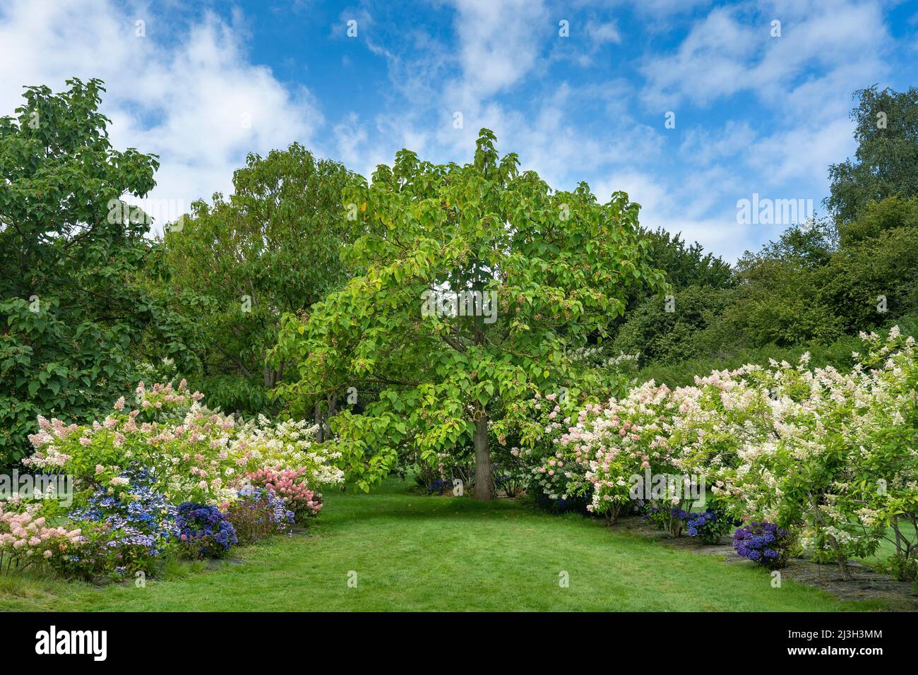 Frankreich, seine Maritime, Varengeville sur Mer, Jardin Shamrock