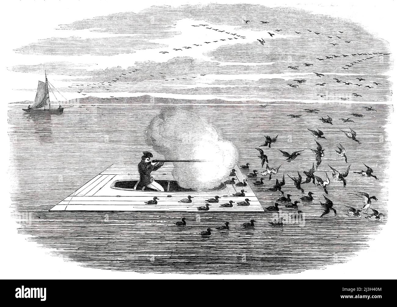 Wild Duck Shooting auf dem Potomac, 1850. Amerikanische Erfindung für Entenschießen: „...ein Gerät hat meine Aufmerksamkeit besonders erregt [und] gelingt bewunderungswürdig. Der Jäger baut ihm einen kleinen, sehr niedrigen Schiffskiff; diesen überwindet er mit einer Plattform von Brettern und malt das ganze so, dass es kaum vom Wasser zu unterscheiden ist: Auf dieser Plattform und um sie herum stellt er seine hölzernen Köderenten, und versteckt sich am Boden des Schiffs. In der Zwischenzeit hat er einen Konföderierten, der im Boot in der Ferne herumsegelt und die Enten erschreckt; sie zünden an oder schweben um die Köderenten herum, und unser f Stockfoto