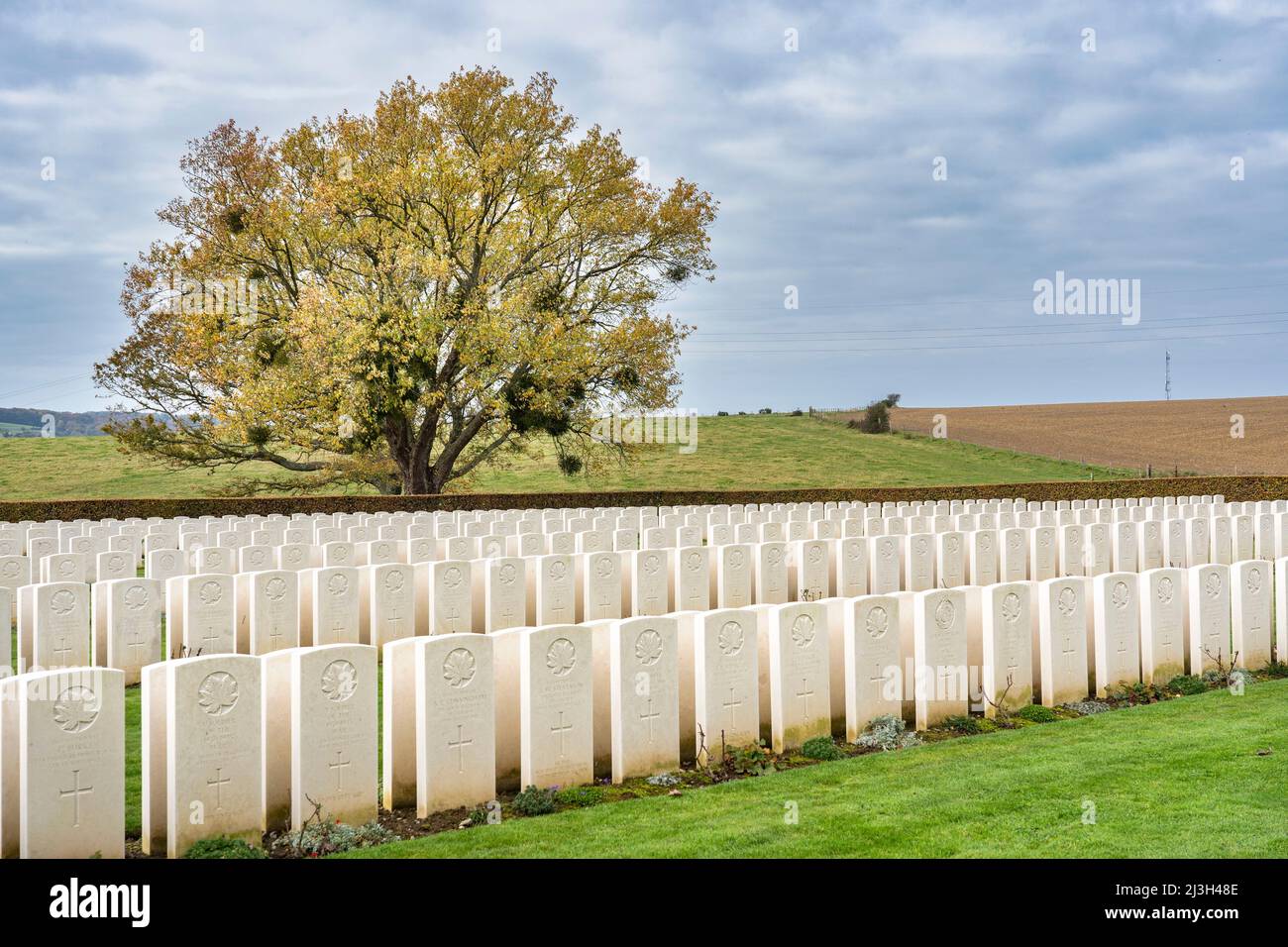 Frankreich, seine Maritime, Hautot-sur-Mer, Vertus-Friedhof, kanadischer Militärfriedhof in Dieppe, 955 Soldaten sind begraben, die meisten von ihnen starben während der Operation Jubilee, alliierte Landung in Dieppe im Jahr 1942 Stockfoto