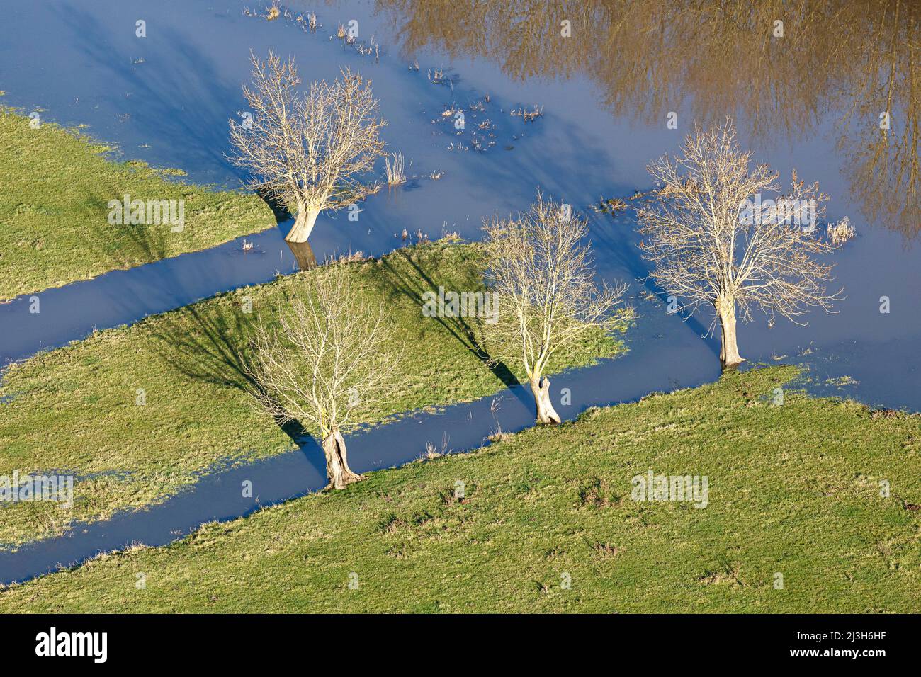 Frankreich, Vendee, La Bretonniere la Claye, Bäume in den vom Lay-Fluss überfluteten Wiesen (Luftaufnahme) Stockfoto