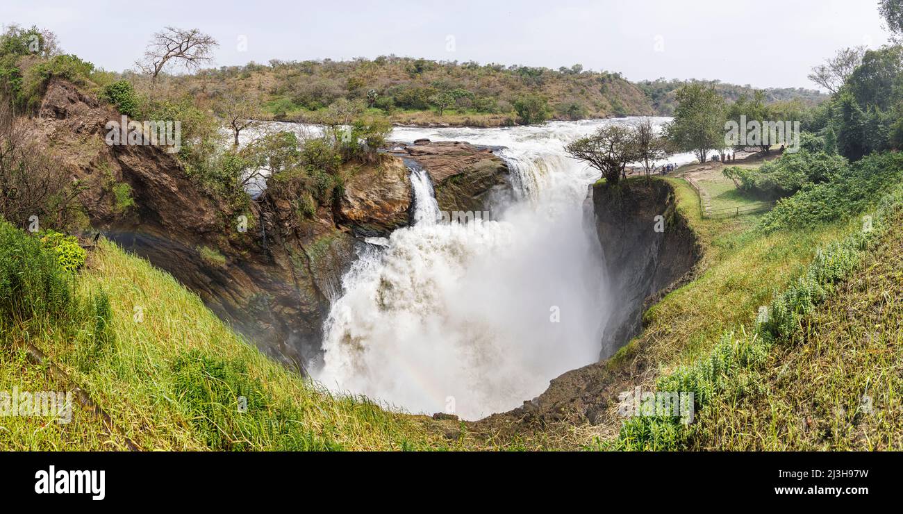 Uganda, Nwoya District, Pakwach, Murchison Falls National Park, die Murchison fällt auf dem Victoria Nil Stockfoto
