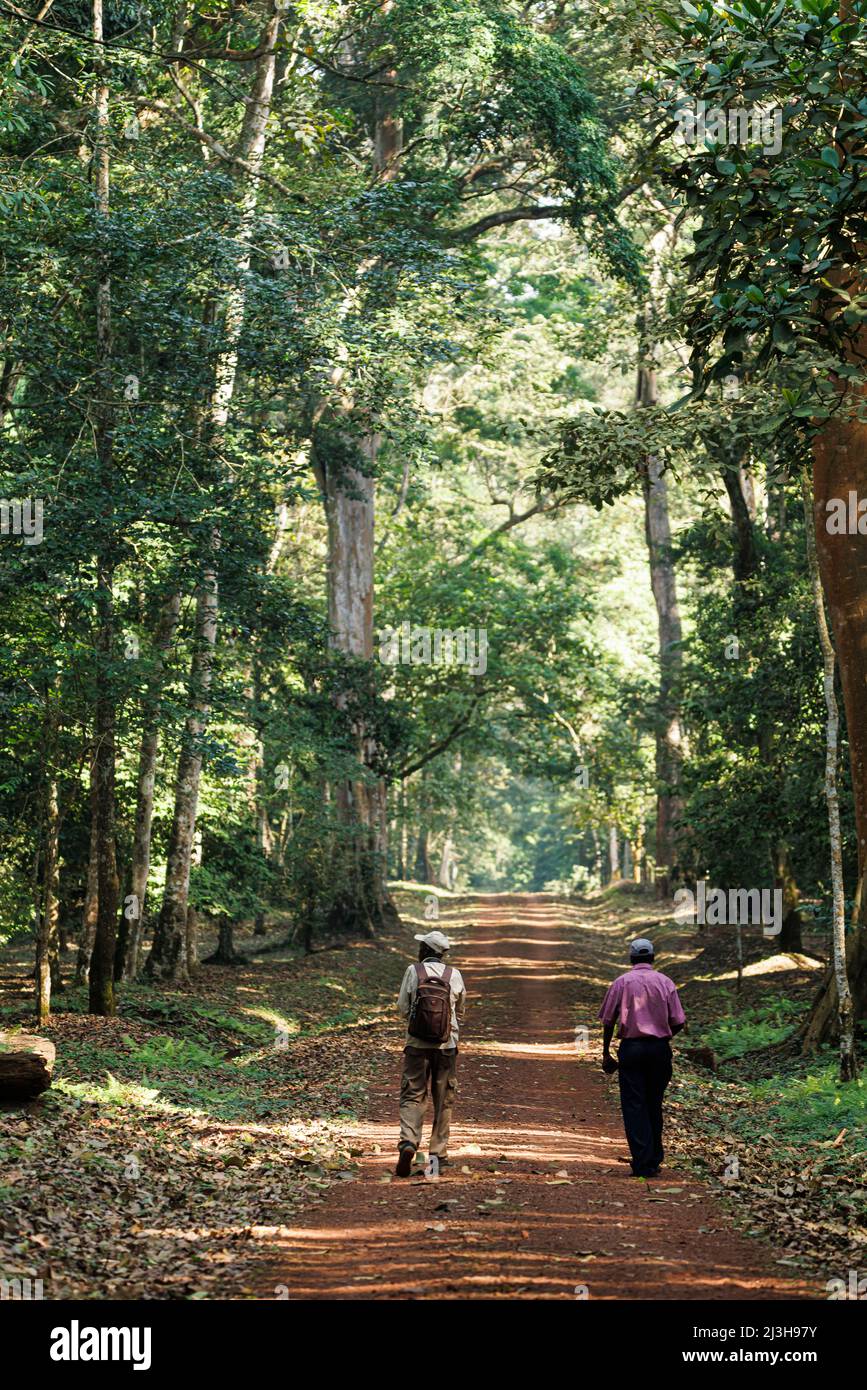 Uganda, Masindi District, Nyabyeya, die Royal Mile Stockfoto