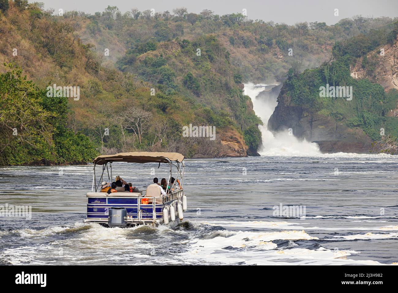 Uganda, Nwoya District, Pakwach, Murchison Falls National Park, die Murchison fällt auf dem Victoria Nil Stockfoto