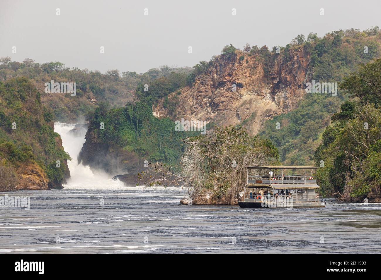 Uganda, Nwoya District, Pakwach, Murchison Falls National Park, die Murchison fällt auf dem Victoria Nil Stockfoto