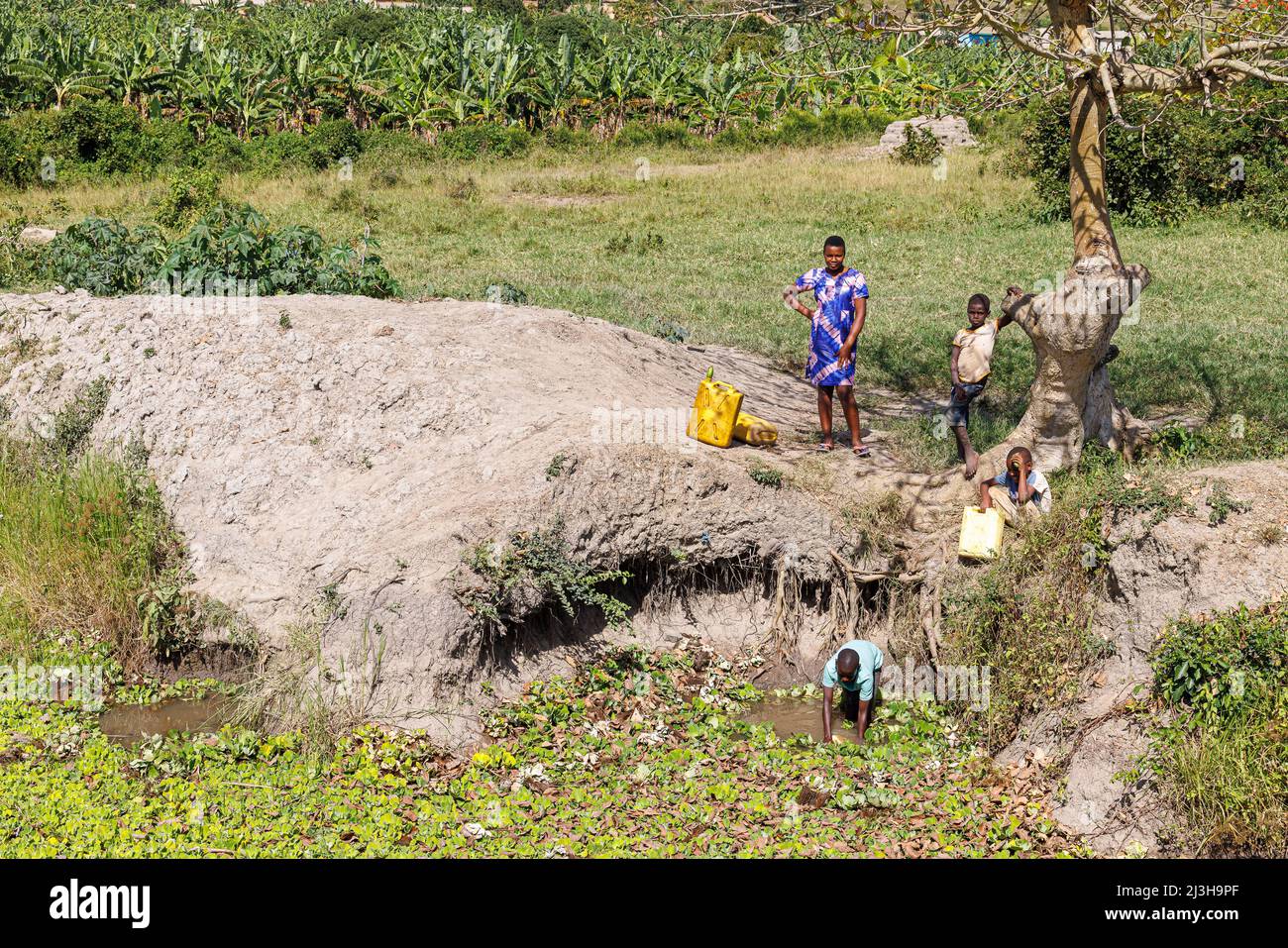 Uganda, Mbarara Distrikt, Mburo, Kinder, die Wasser am Wasserloch holen Stockfoto