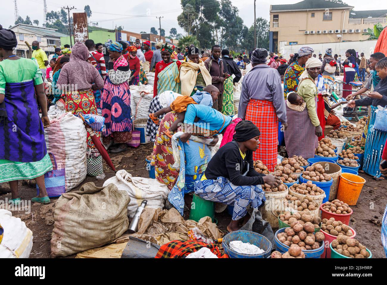 Uganda, Kisoro, Kisoro, Frauen, die Kartoffeln auf dem Markt verkaufen Stockfoto