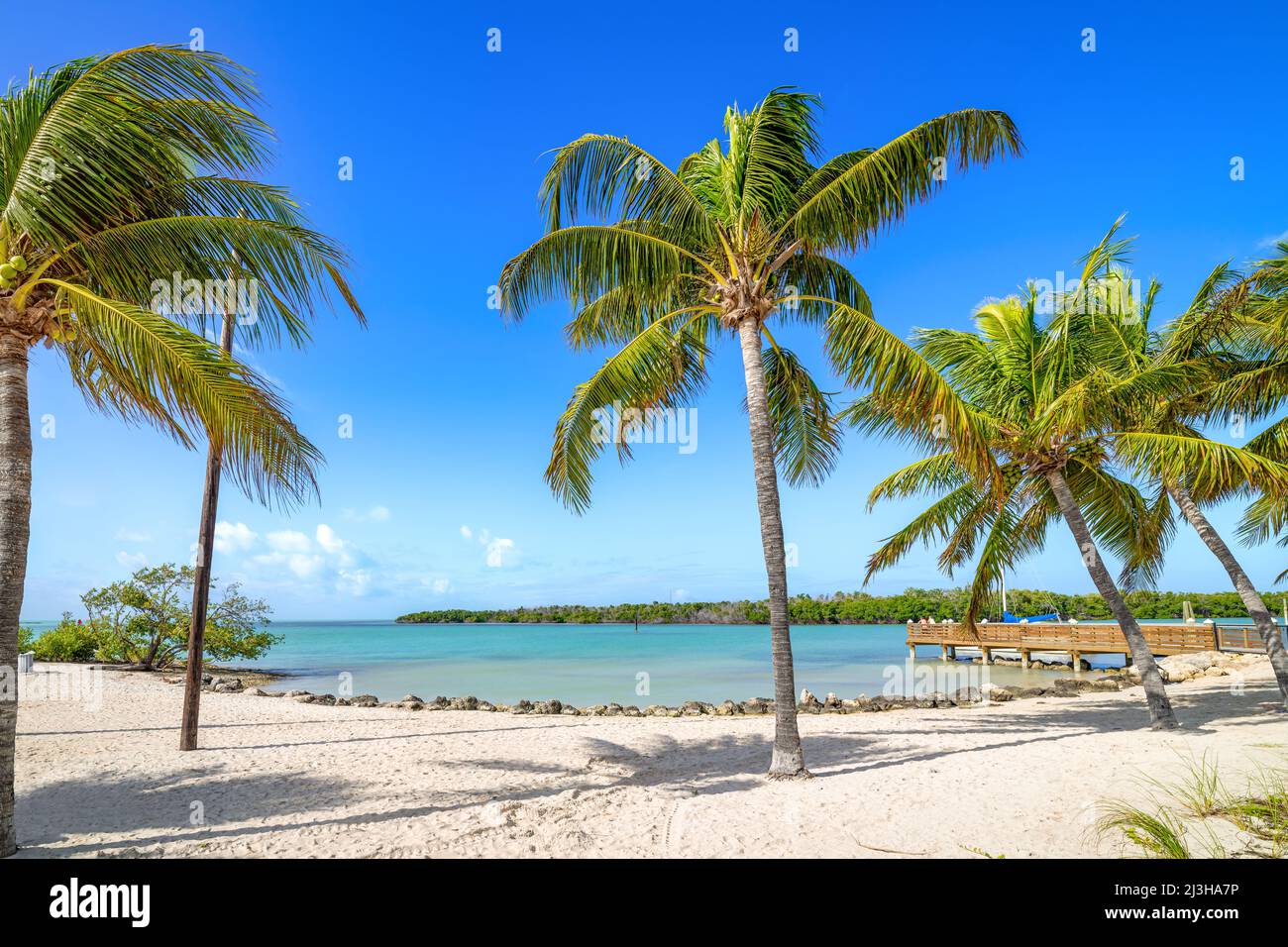 Der wunderschöne Sombrero Strand bei Marathon, florida Stockfoto