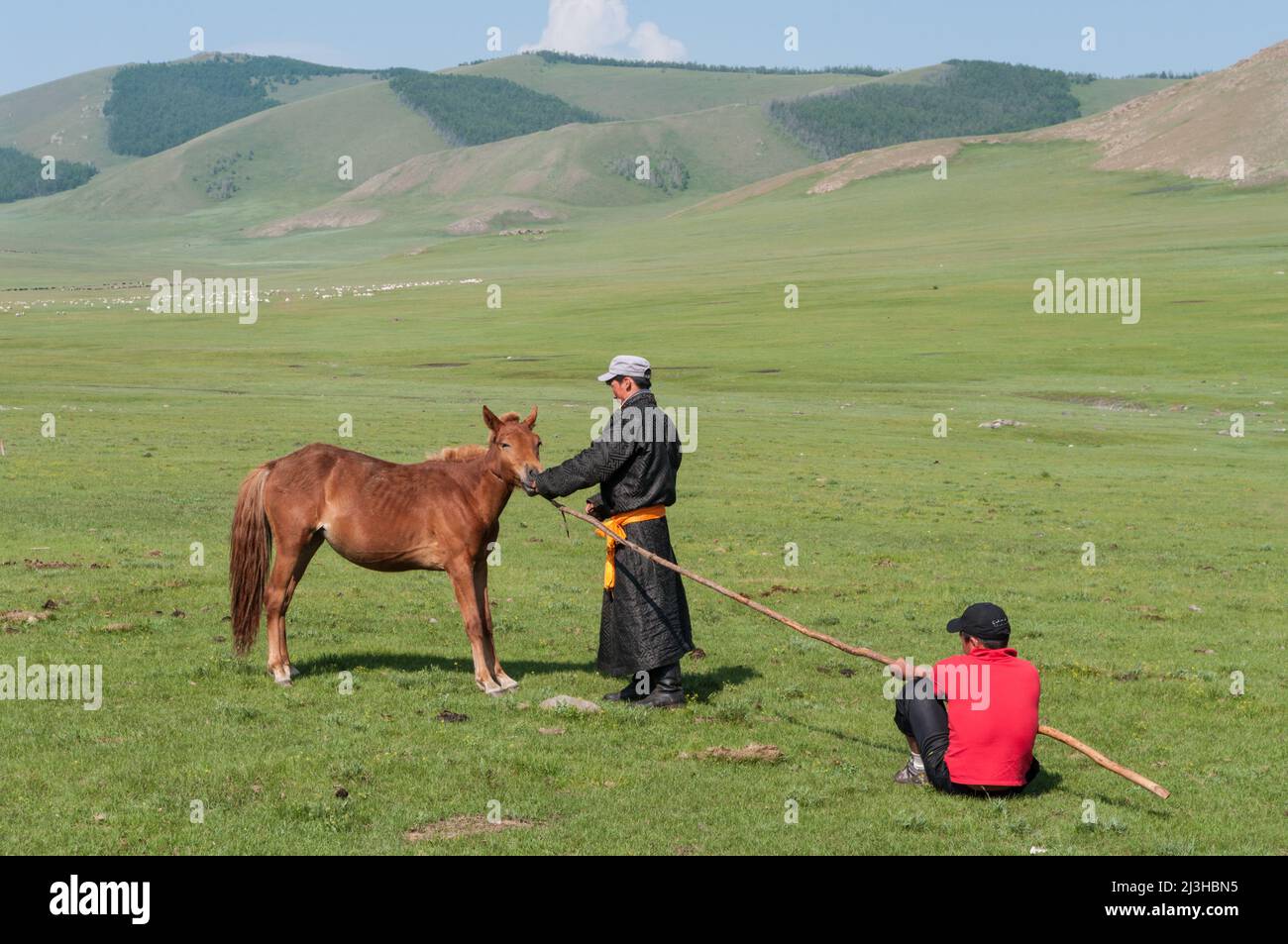 Asien, Mongolie, Mongolei Stockfoto