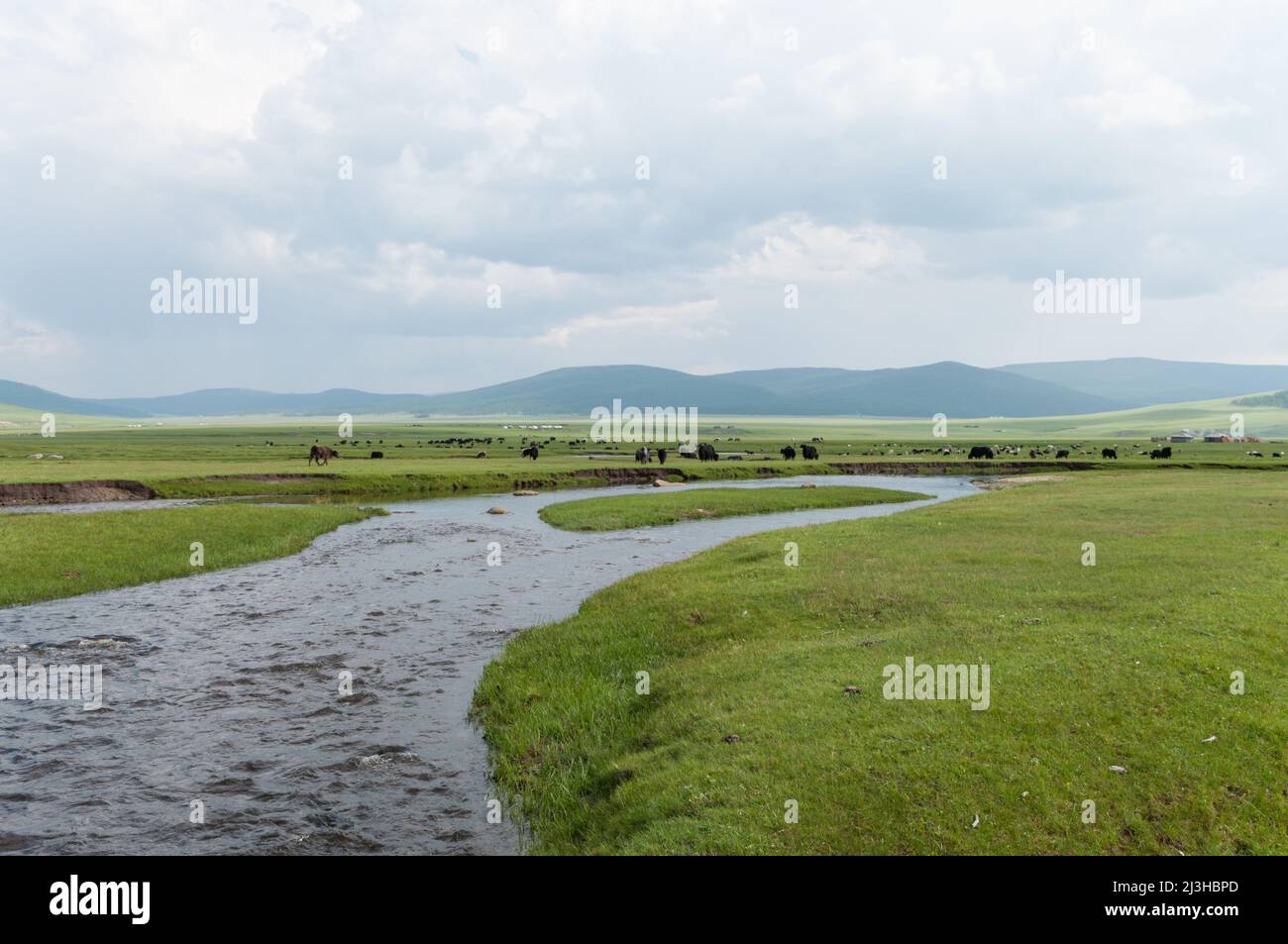 Asien, Mongolie, Mongolei Stockfoto