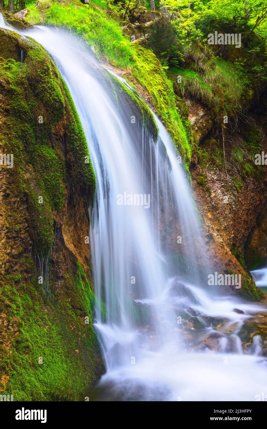Kleiner Wasserfall mit Felsen und grünem Moos. Gunzesrieder Tal, Bayern, Deutschland Stockfoto