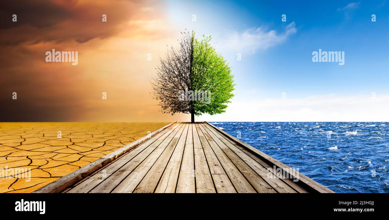 Baum, Symbol des Klimawandels von Dürre zu fruchtbarer Umwelt Stockfoto
