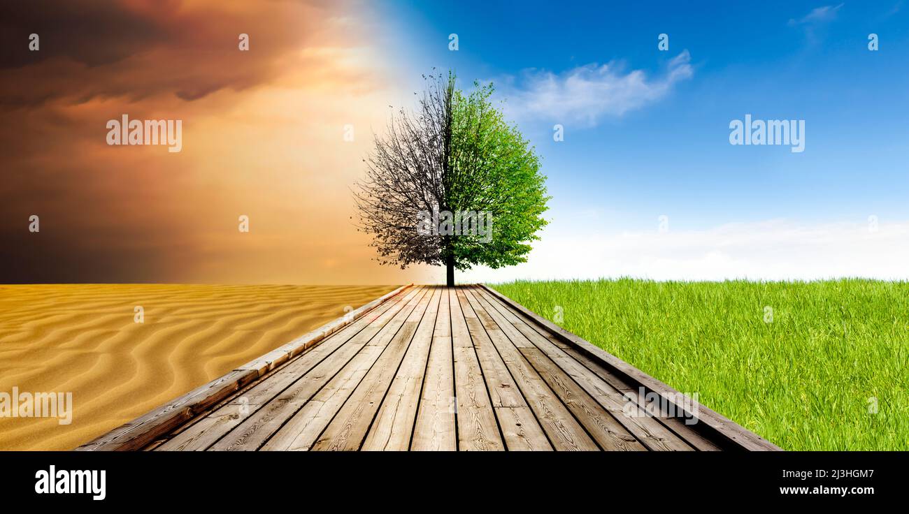 Baum, Symbol des Klimawandels von Dürre zu fruchtbarer Umwelt Stockfoto