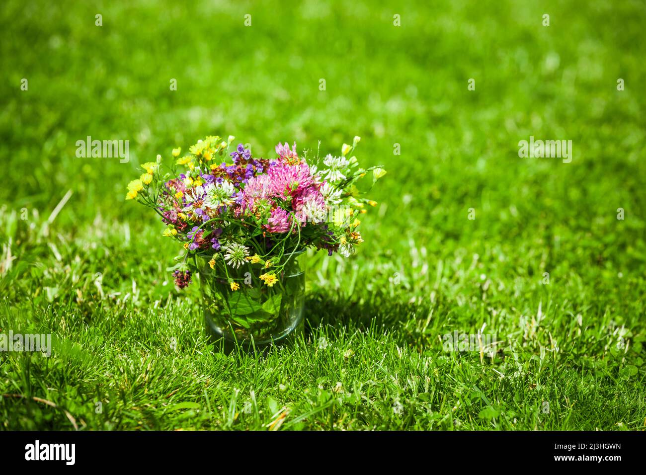 Wildblumen aus dem eigenen Garten Stockfoto