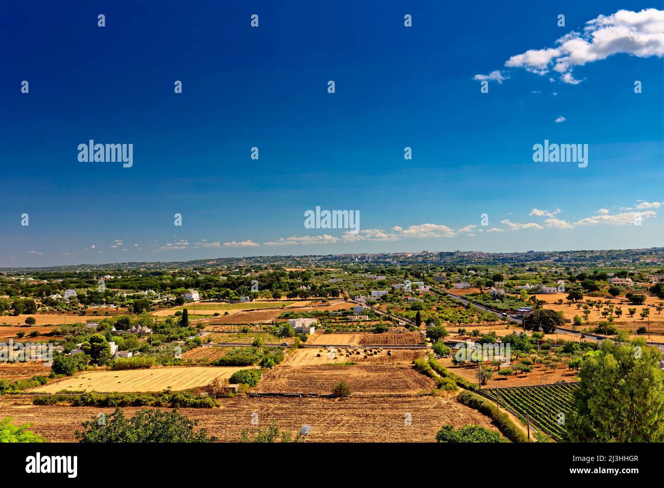 Verwelkte Landschaft vor dem italienischen Dorf Locorotondo, Italien, Apulien, Stockfoto