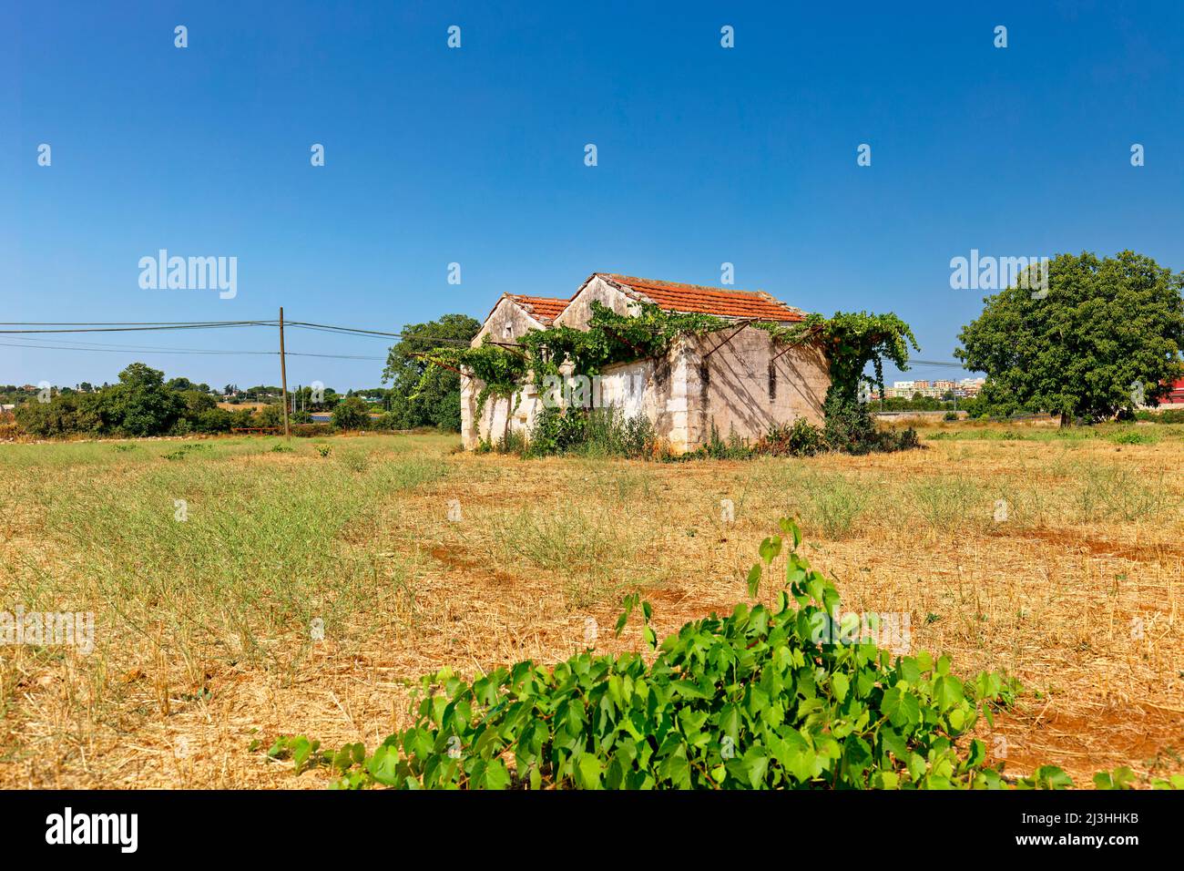 Zwei landwirtschaftliche Gebäude auf einem Feld in Italien, Apulien Stockfoto