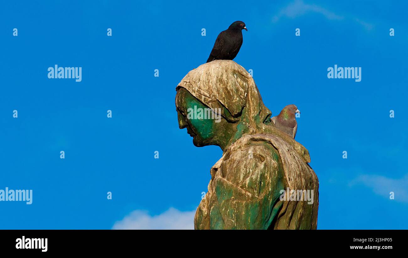 Spanien, Kanarische Inseln, Fuerteventura, Hauptstadt, Puerto del Rosario, Denkmal, Bronzefigur, auf dem Kopf sitzt ein Vogel, himmelblau, einzelne weiße Wolken Stockfoto