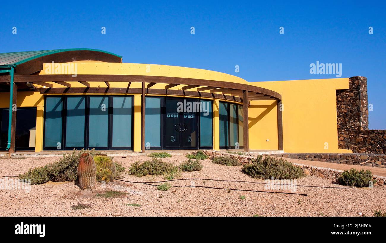 Spanien, Kanarische Inseln, Fuerteventura, Ostküste, Salinas de el Carmen, Gebäude des Salzmuseums, gelb, im Vordergrund Büsche, himmelblau wolkenlos Stockfoto