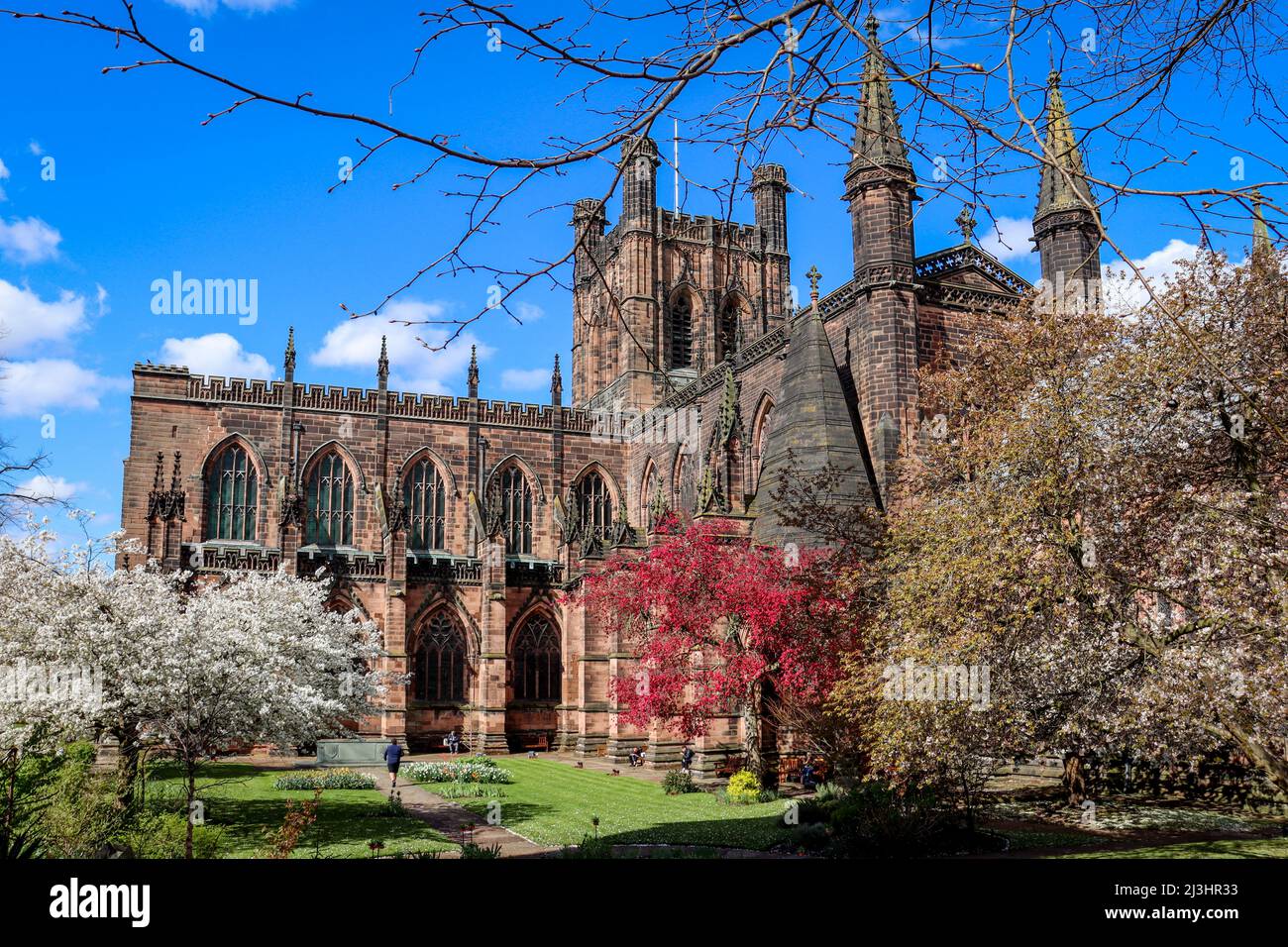 Chester Cathedral in voller Blüte, blauem Himmel und blühenden Bäumen Stockfoto